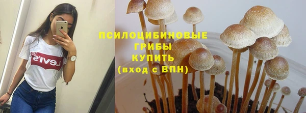 гашишное масло Гусиноозёрск