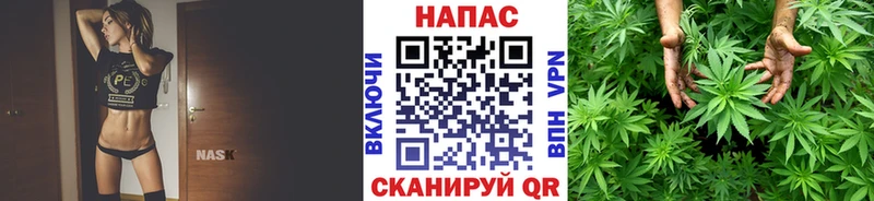 МАРИХУАНА сатива Дальнереченск